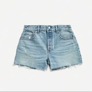 Everlane Cheeky Denim Short